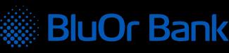 Bluor Logo